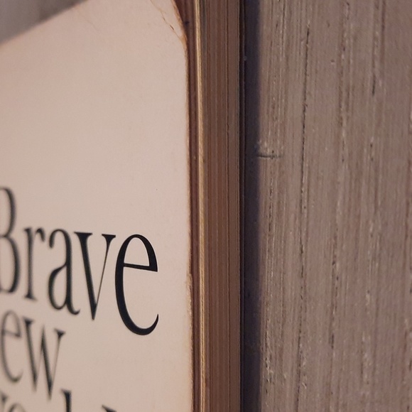 Secret Journal "Brave New World" - Picture 6 of 6